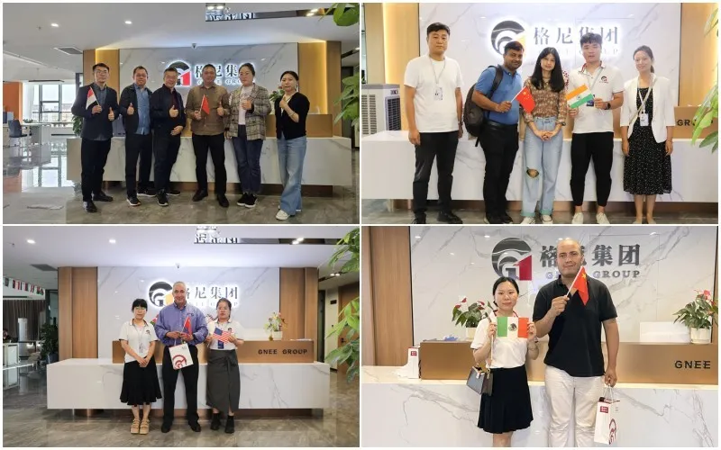 Gnee Customer visit Gnee Customer visit